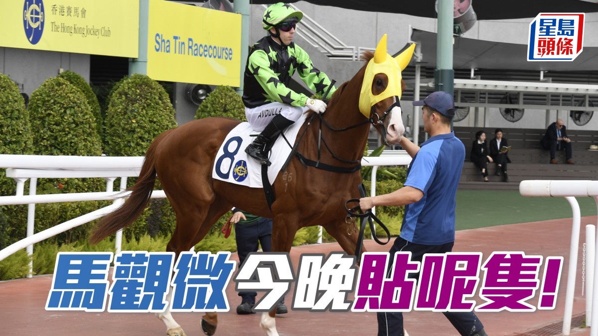 馬觀微全日心水│「賢者威楓」出人頭地