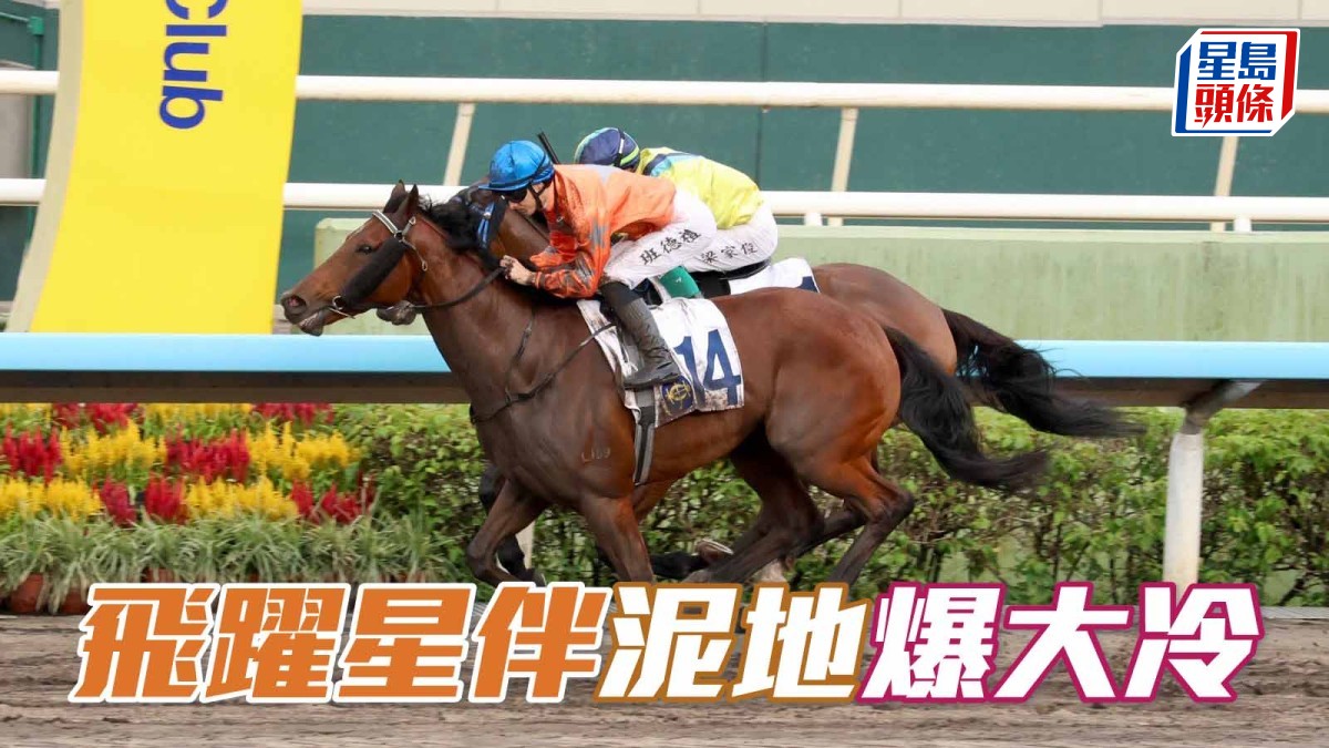 馬場密探048｜「飛躍星伴」泥地爆大冷