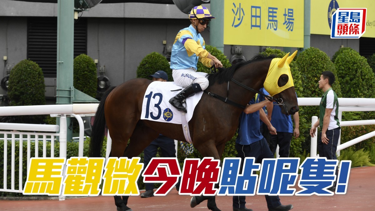 馬觀微全日心水│「巴閉王」光榮開齋