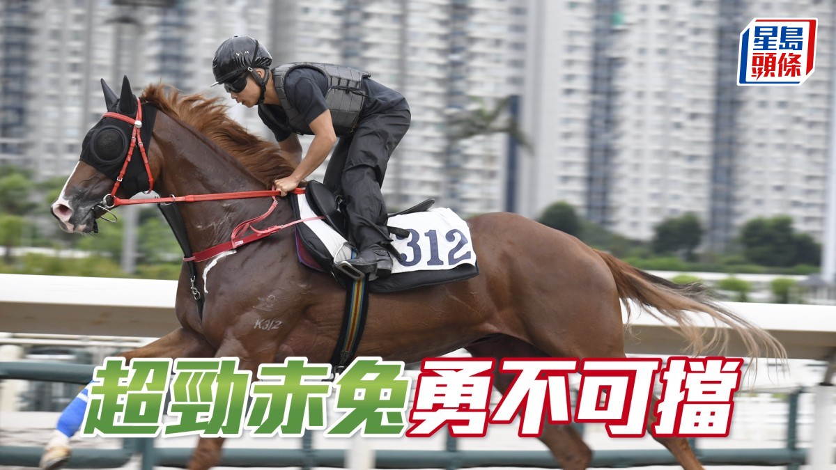 內圈捕影│「超勁赤兔」勇不可擋