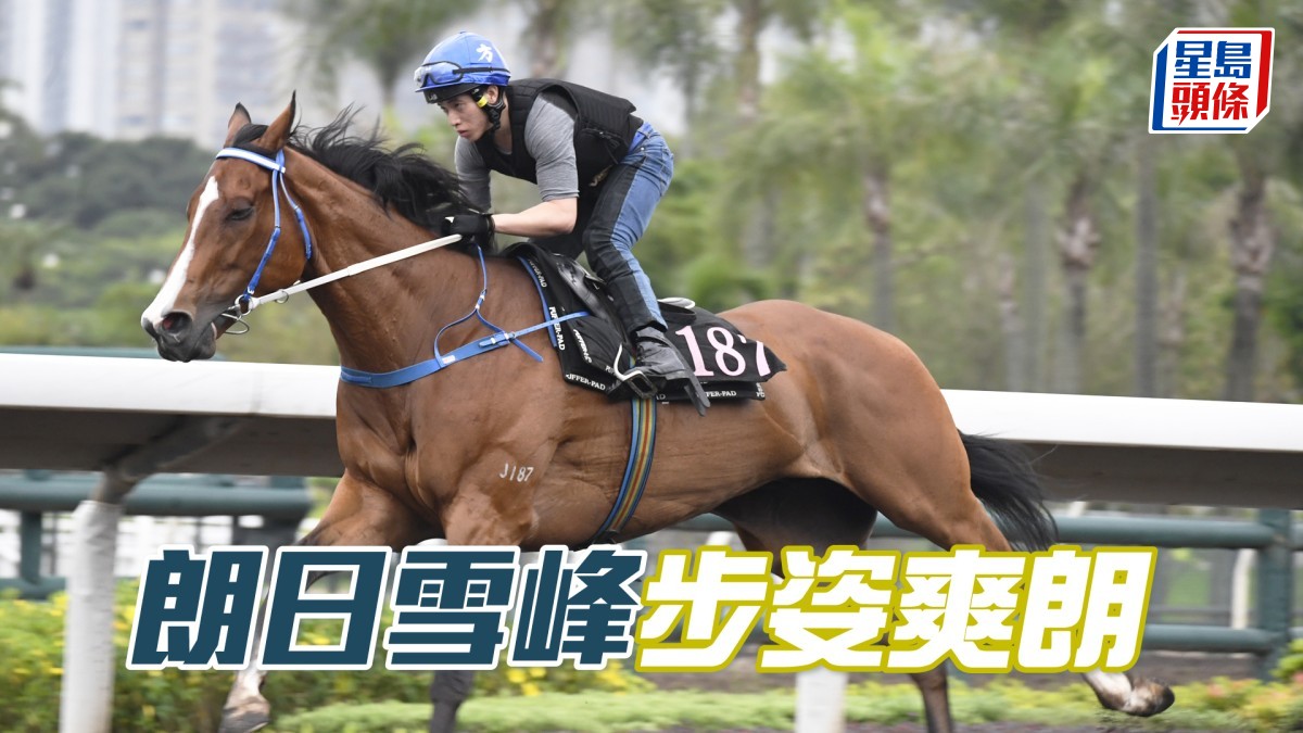 內圈捕影│「朗日雪峰」步姿爽朗
