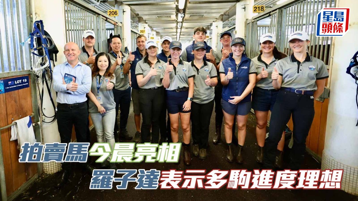 馬場浮世繪｜2026拍賣馬今晨亮相 羅子達表示多駒進度理想