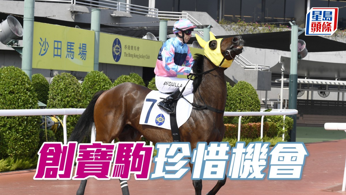 Ian心水│「創寶駒」珍惜機會