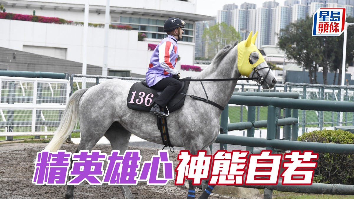 內圈捕影│「精英雄心」神態自若