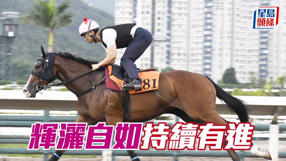 內圈捕影│「輝灑自如」持續有進