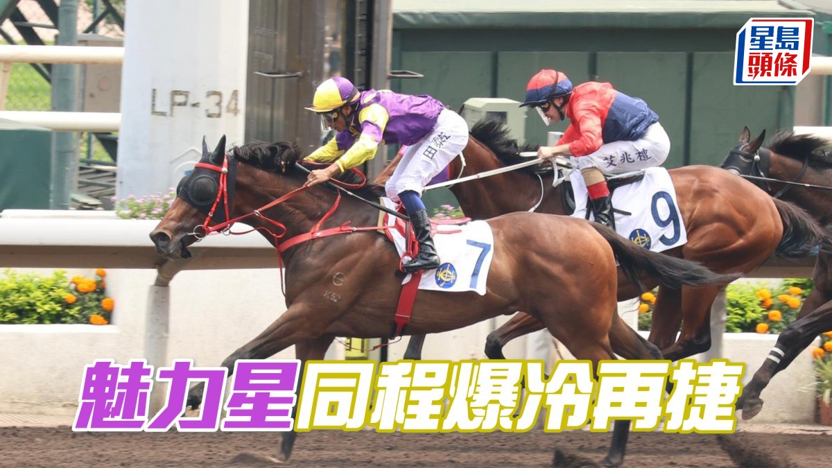 馬場密探048｜「魅力星」同程爆冷再捷