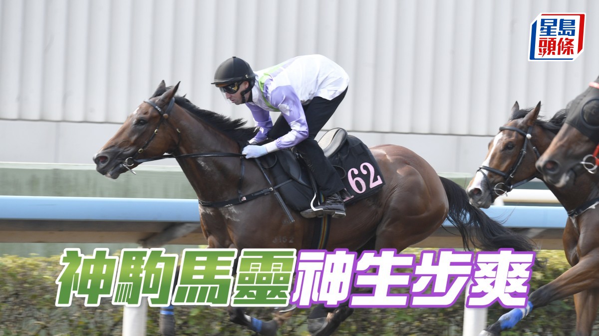 內圈捕影│「神駒馬靈」神生步爽