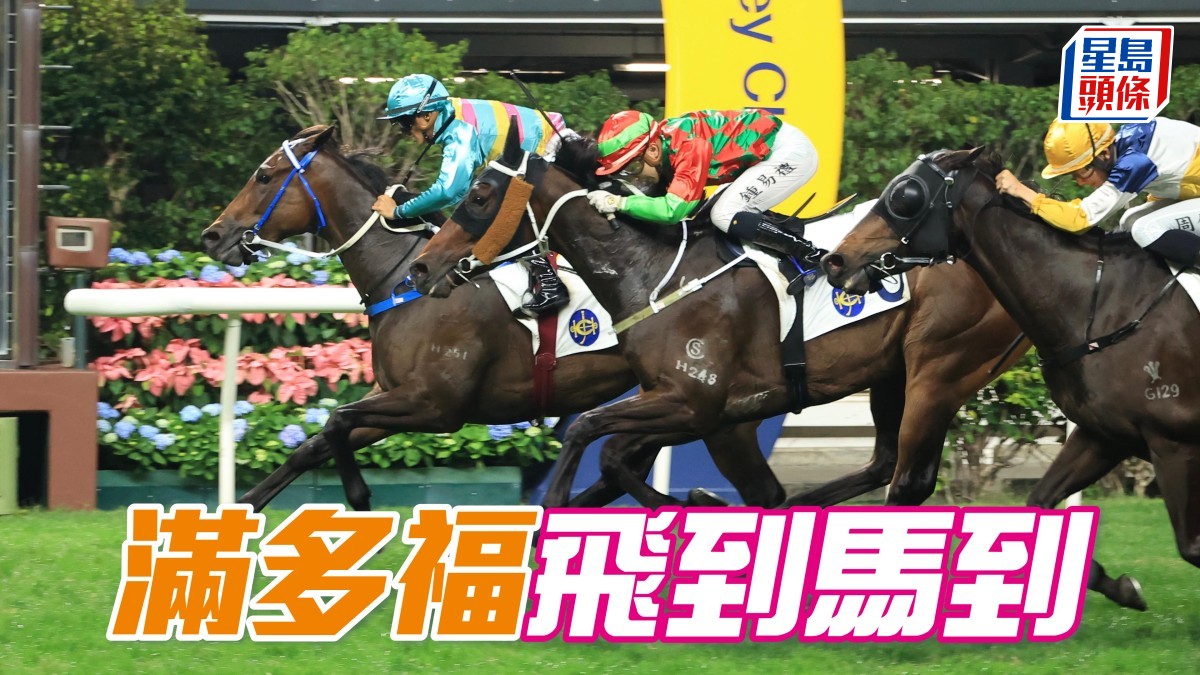 馬場密探048|「滿多福」飛到馬到
