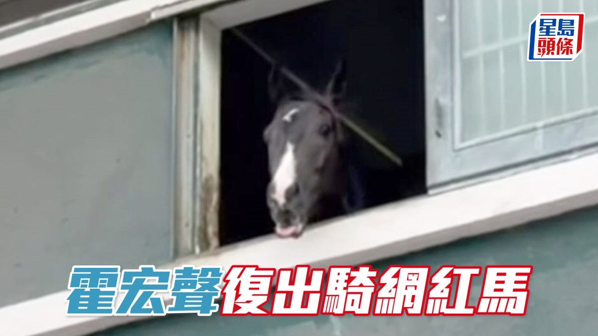 霍宏聲復出騎網紅馬