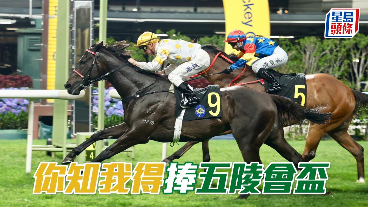 馬場密探048｜「你知我得」捧五陵會盃