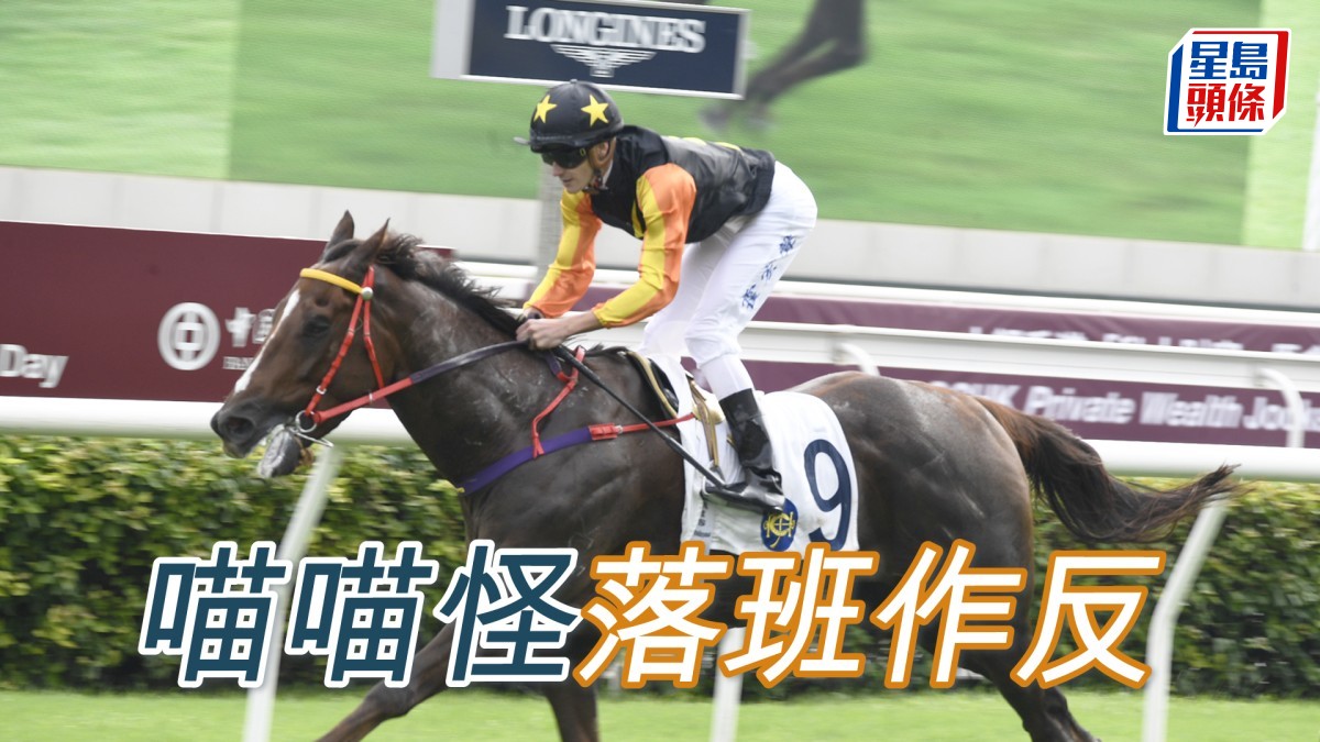 卡爾心水│「喵喵怪」落班作反