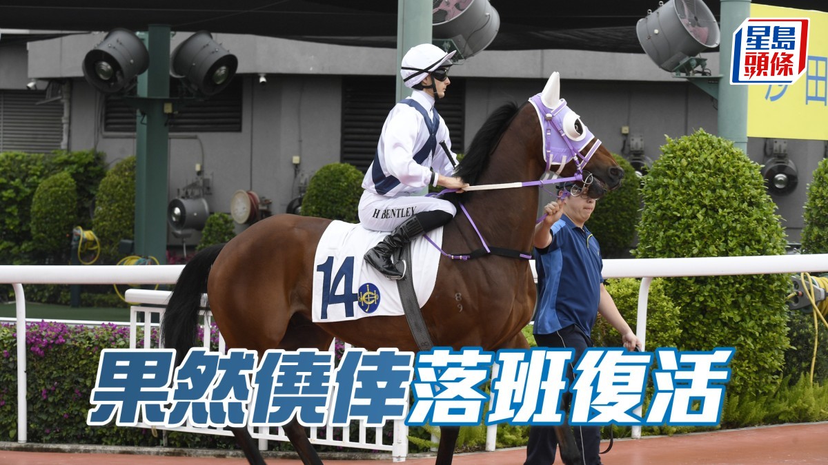 卡爾心水│「果然僥倖」落班復活