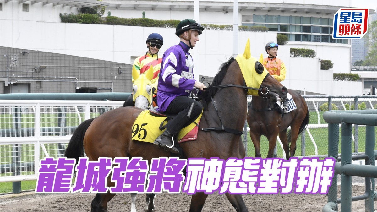 晨光追擊│「龍城強將」神態對辦