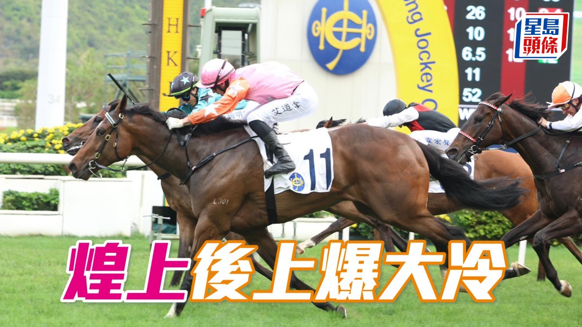 馬場密探048｜「煌上」後上爆大冷