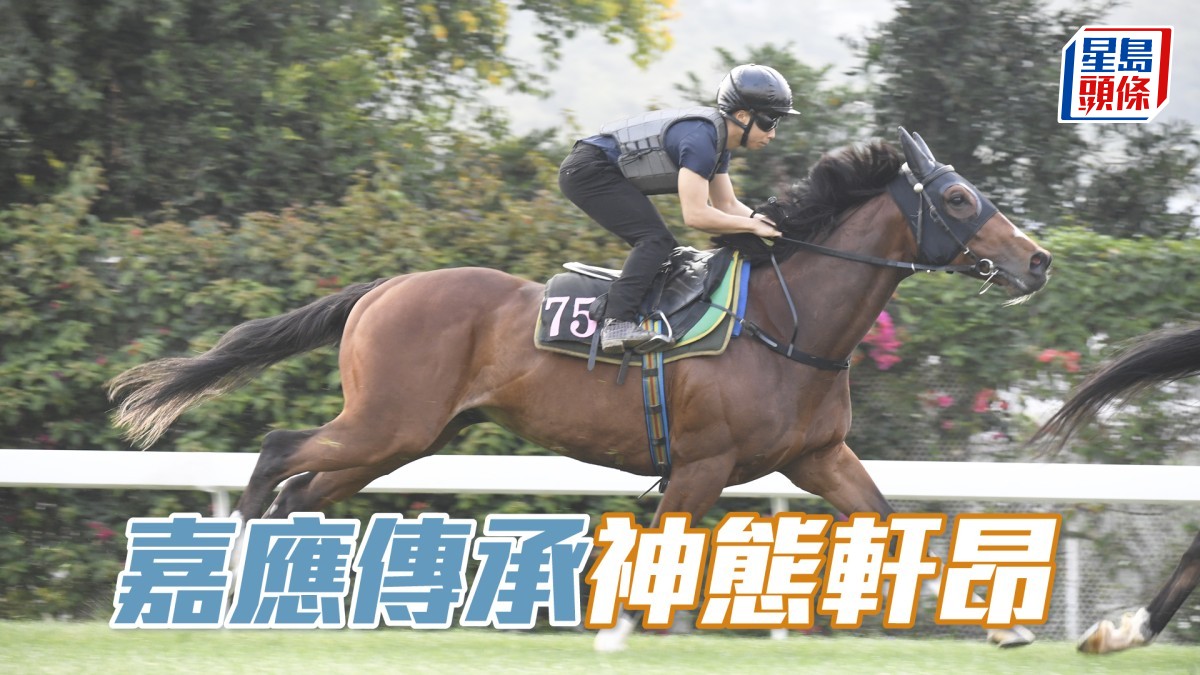 內圈捕影│「嘉應傳承」神態軒昂