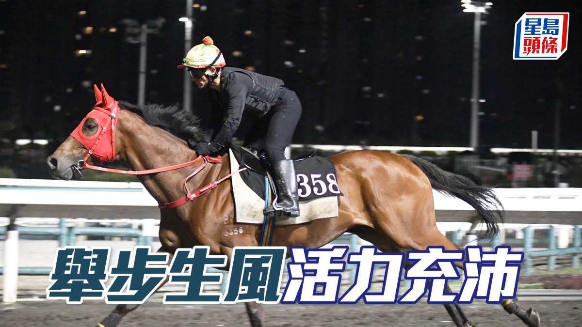 內圈捕影│「舉步生風」活力充沛