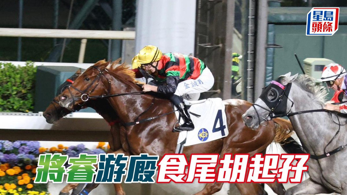 馬場密探048｜「將睿」游廄食尾胡起孖