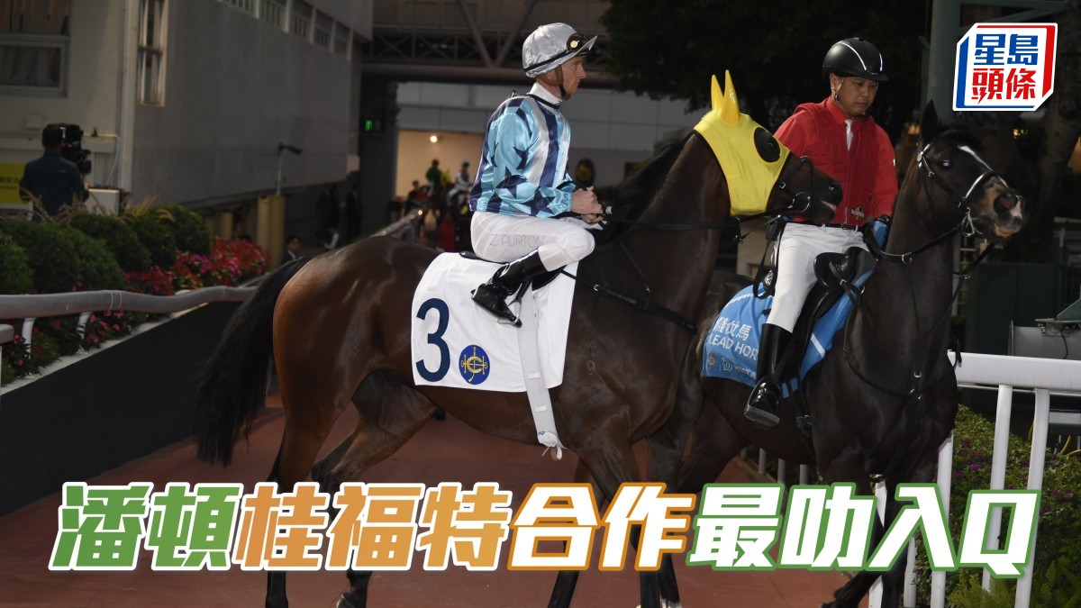 楊駿數據｜潘頓桂福特合作最叻入Q