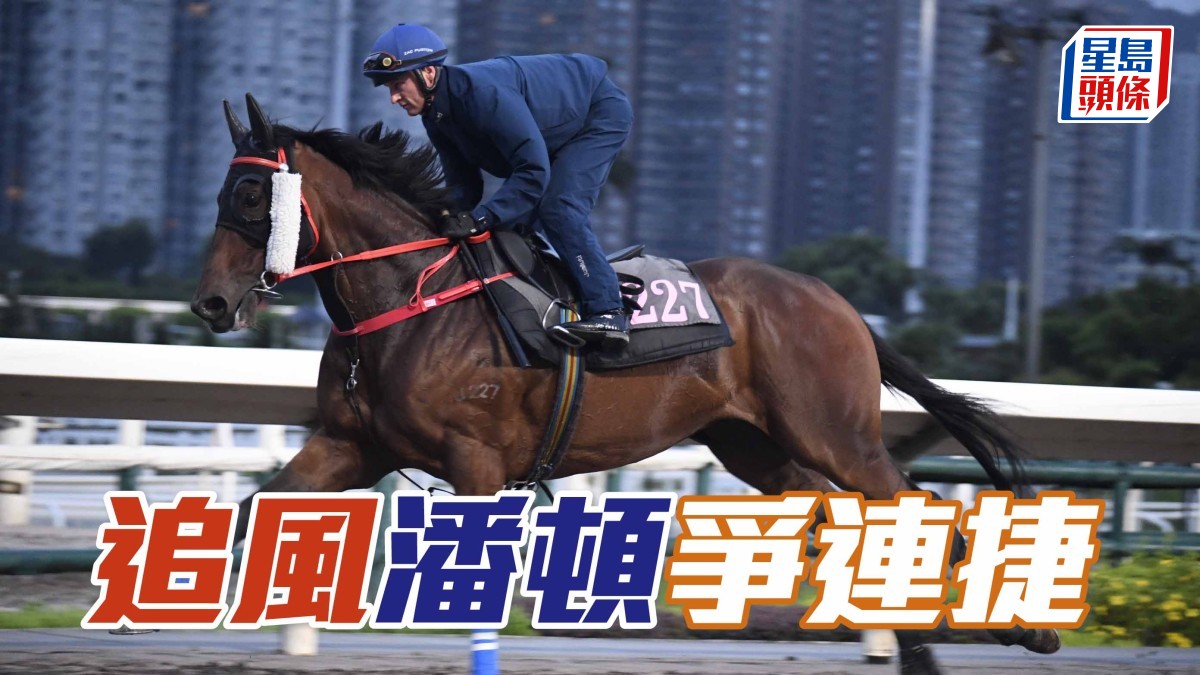 潘頓為「追風」爭連捷