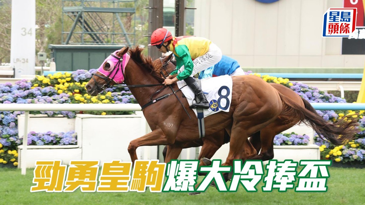 馬場密探048｜「勁勇皇駒」爆大冷捧盃