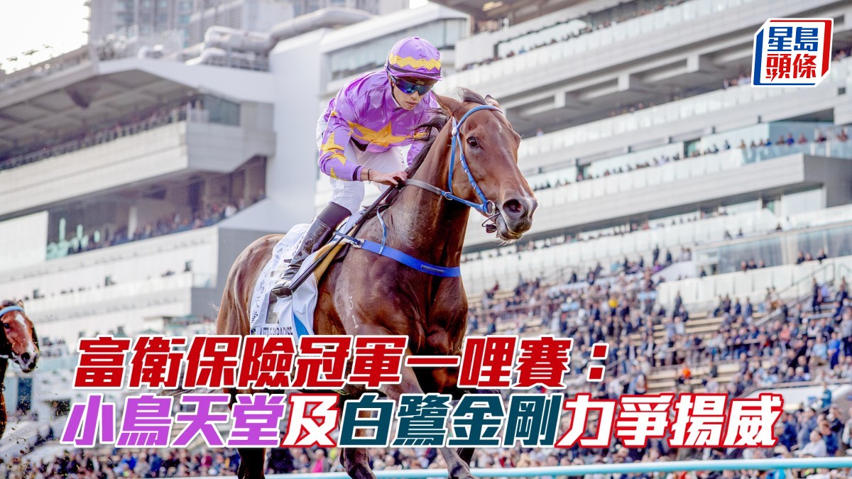 「小鳥天堂」及「白鷺金剛」力爭以四歲賽駒身分揚威富衛保險冠軍一哩賽