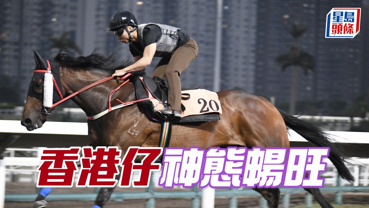 內圈捕影│「香港仔」神態暢旺