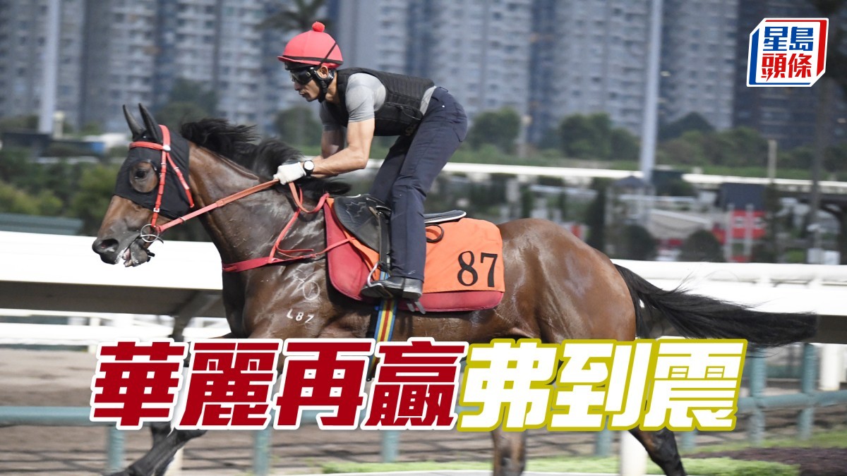 晨光追擊│「華麗再贏」弗到震