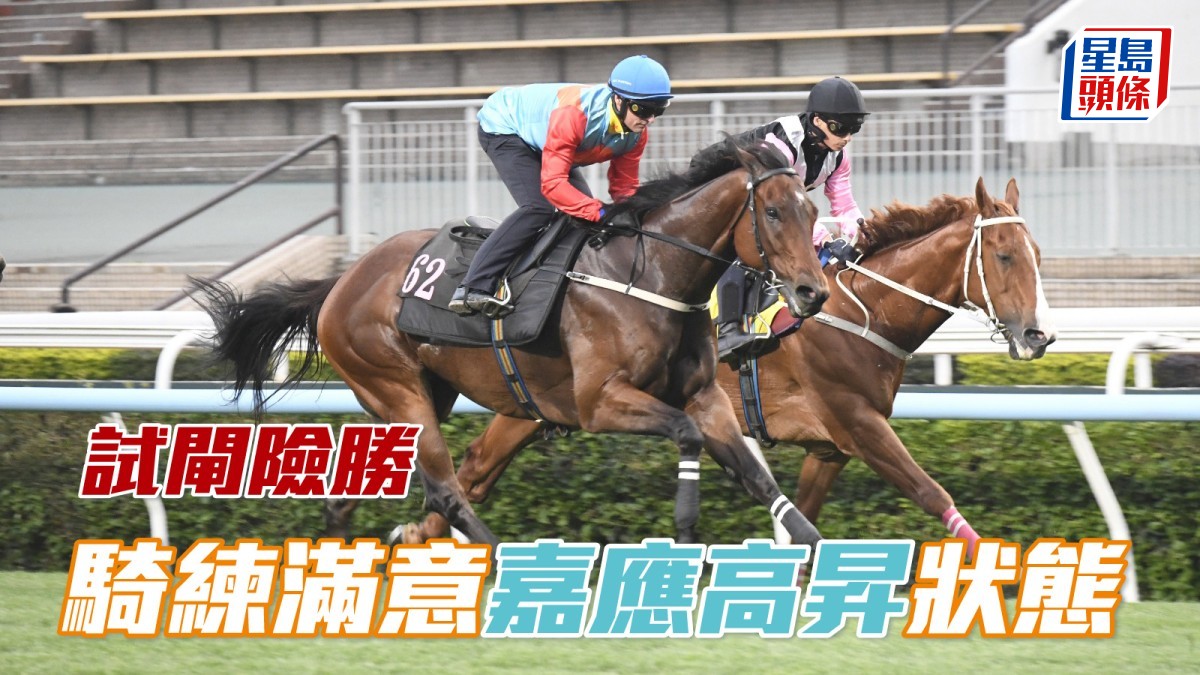 全球一哥「嘉應高昇」今早試閘險勝 騎練滿意狀態