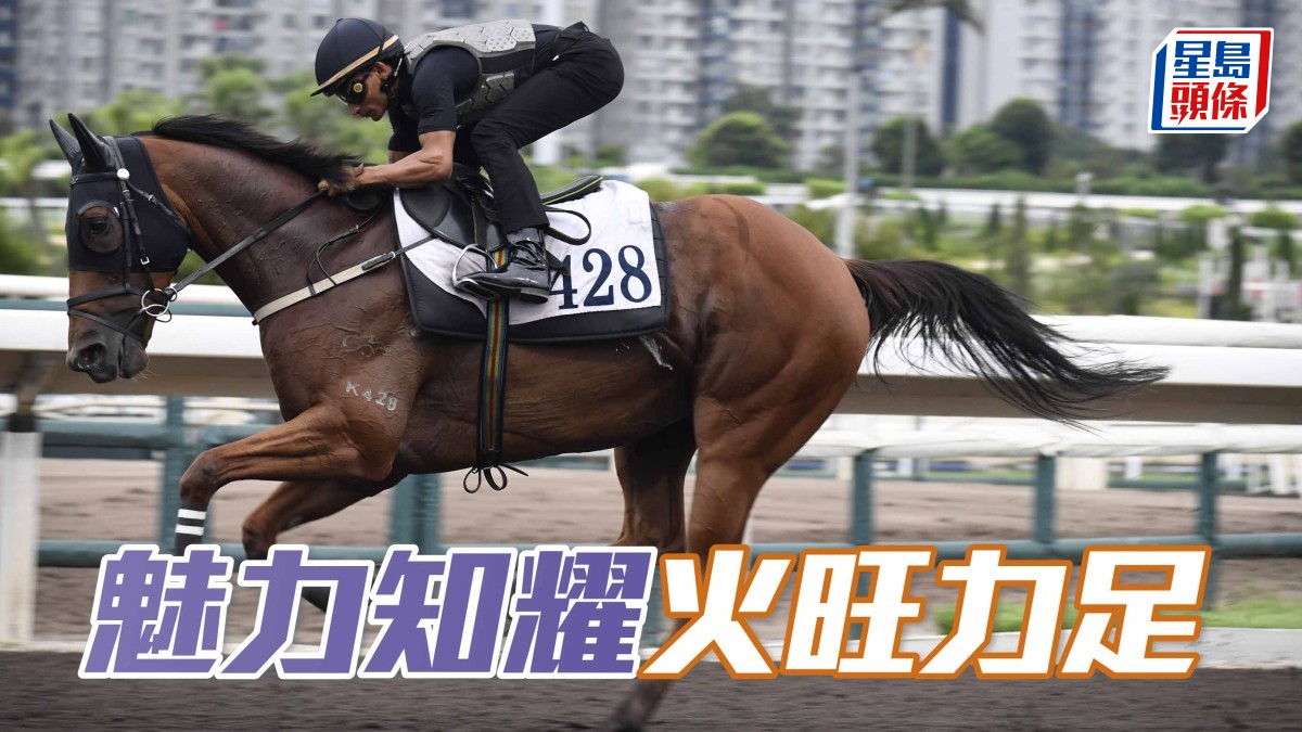 晨光追擊│ 「魅力知耀」火旺力足