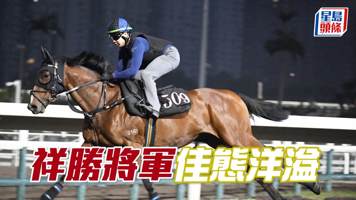 晨光追擊│「祥勝將軍」佳態洋溢