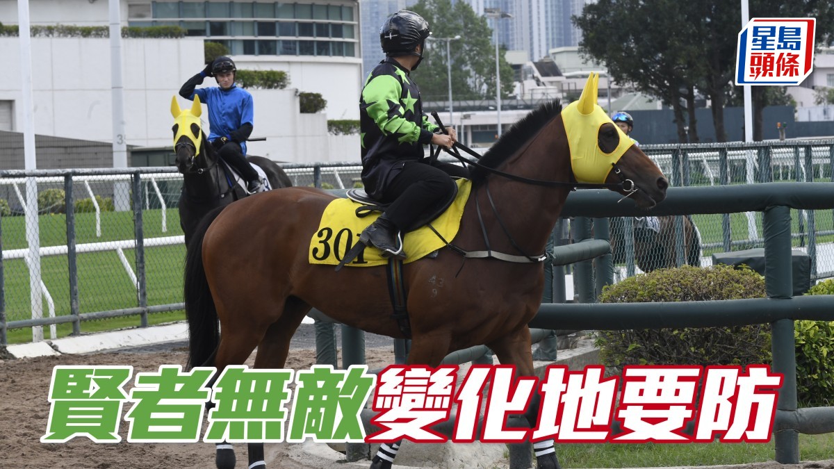 獨家猛料│「賢者無敵」跑變化地特佳