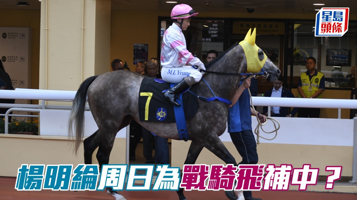 楊明綸周日復出  為「戰騎飛」補中？