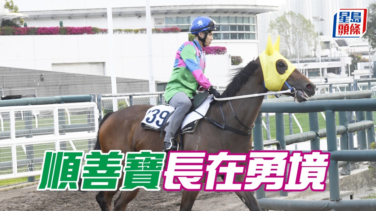 內圈捕影│「順善寶」長在勇境
