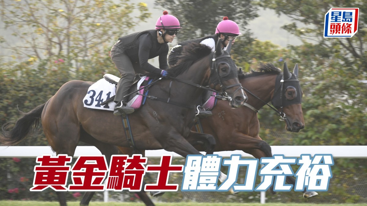 內圈捕影│「黃金騎士」體力充裕