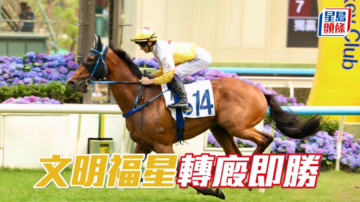 馬場密探048｜「文明福星」轉廄即勝