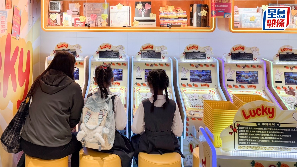 彈珠機店︱麥美娟：將堵塞法律漏洞釐清業界責任  加強巡查網吧打擊非法留宿