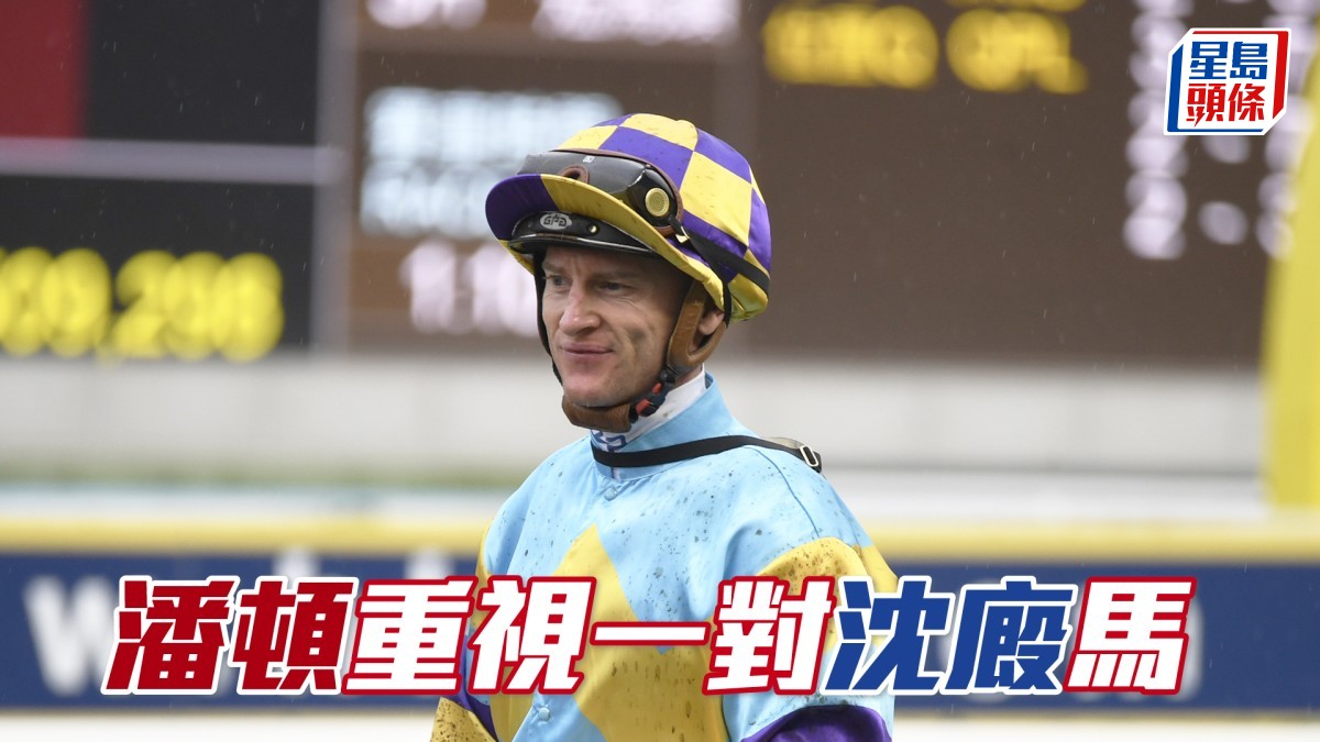 沙田早晨│潘頓重視一對沈廄馬