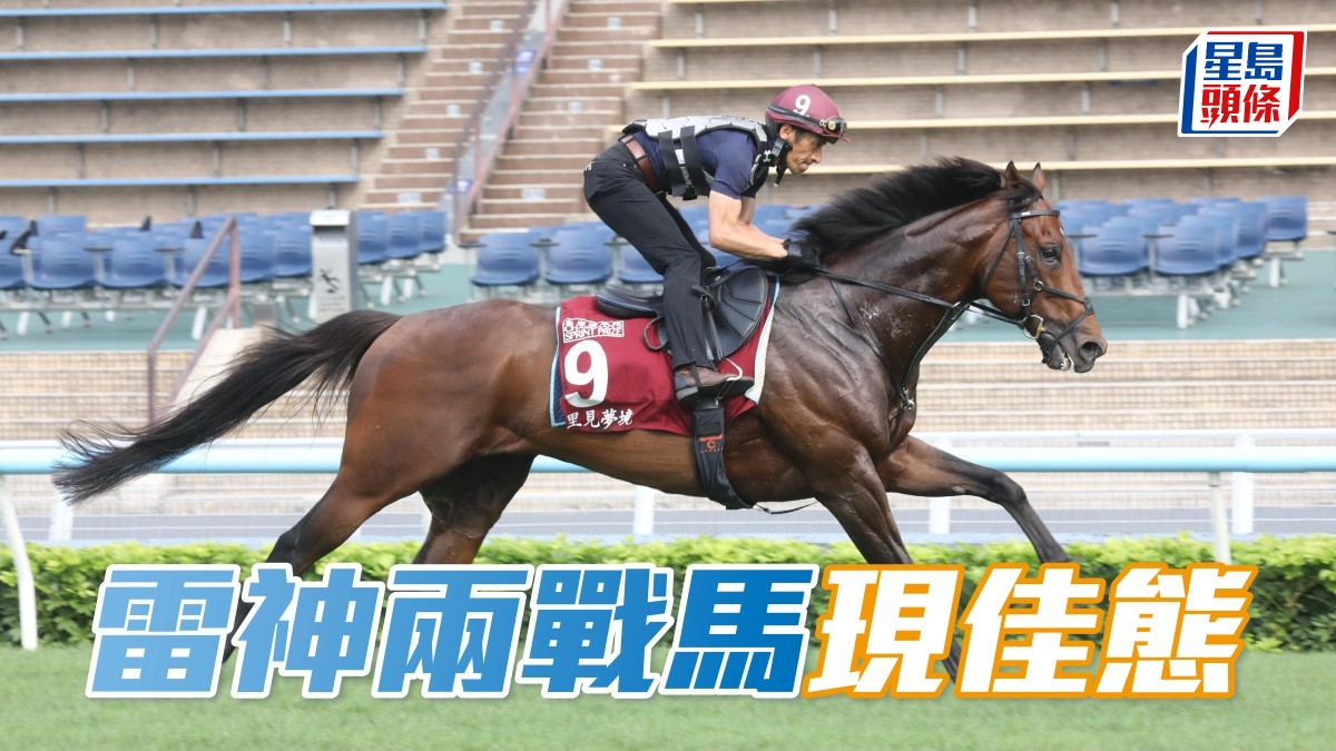 馬場浮世繪｜東瀛大軍最後備戰 雷神兩戰馬現佳態