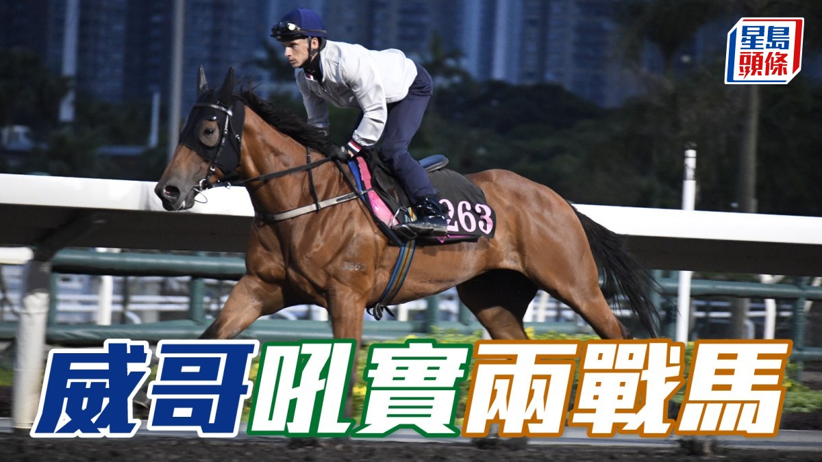 呂健威吼實周三泥賽兩戰馬