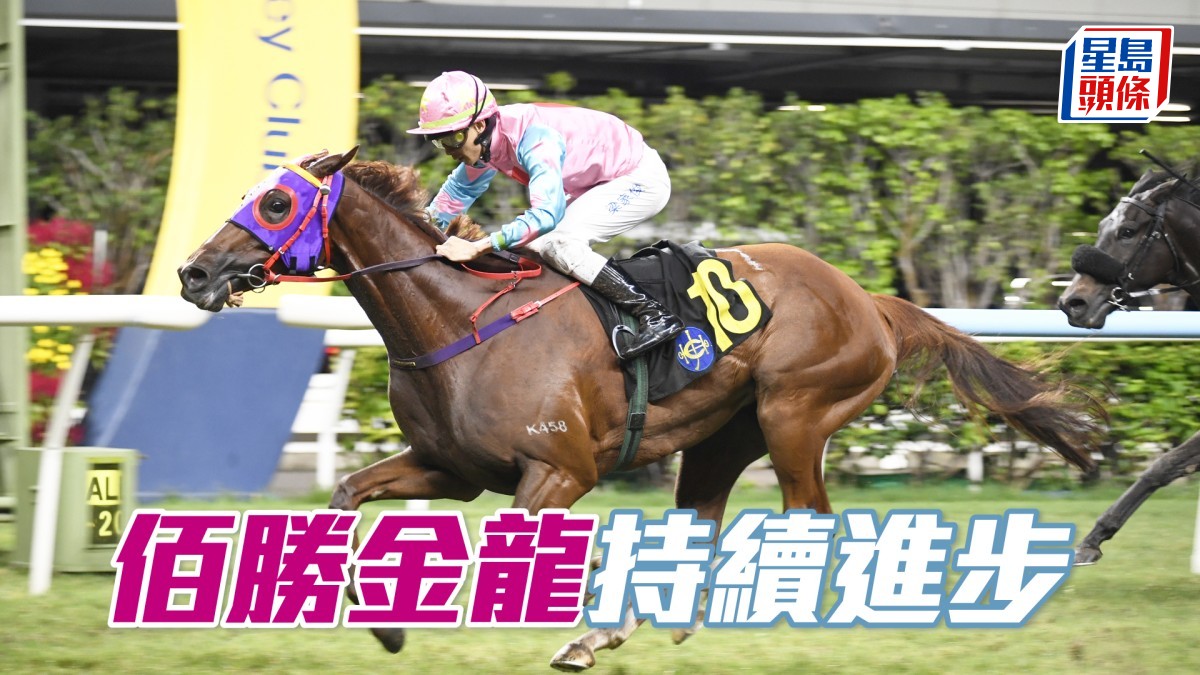 Ian心水│「佰勝金龍」持續進步
