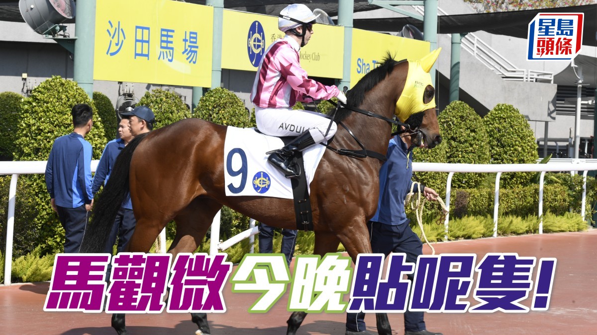 馬觀微全日心水│希斯「銳目」睇得準