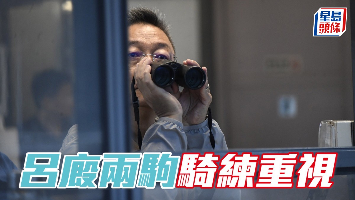 呂廄兩駒騎練重視