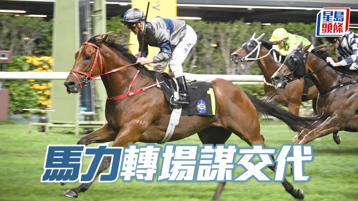 祖馬龍心水│「馬力」轉場謀交代
