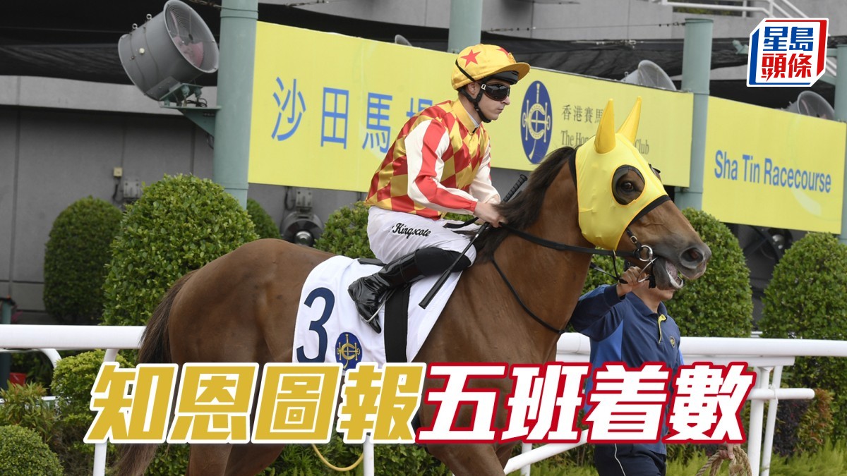 廖事如神│「步風雷」賺磅袁勝