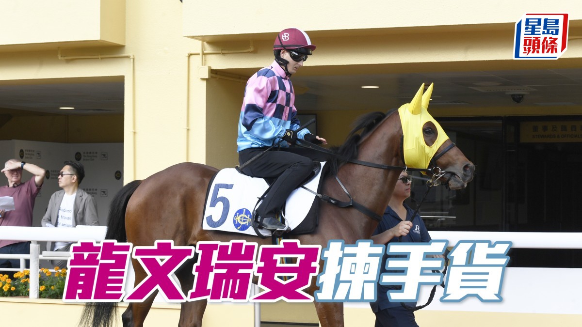 甜甜小記│「龍文瑞安」揀手貨