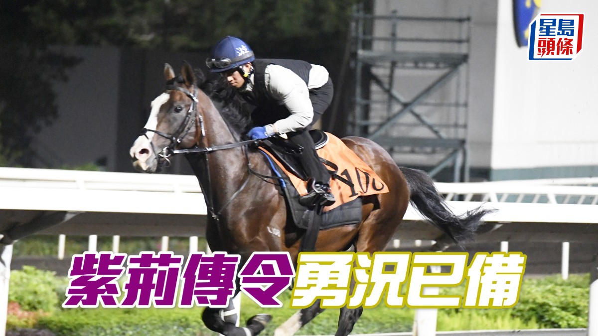 晨光追擊│「紫荊傳令」勇況已備