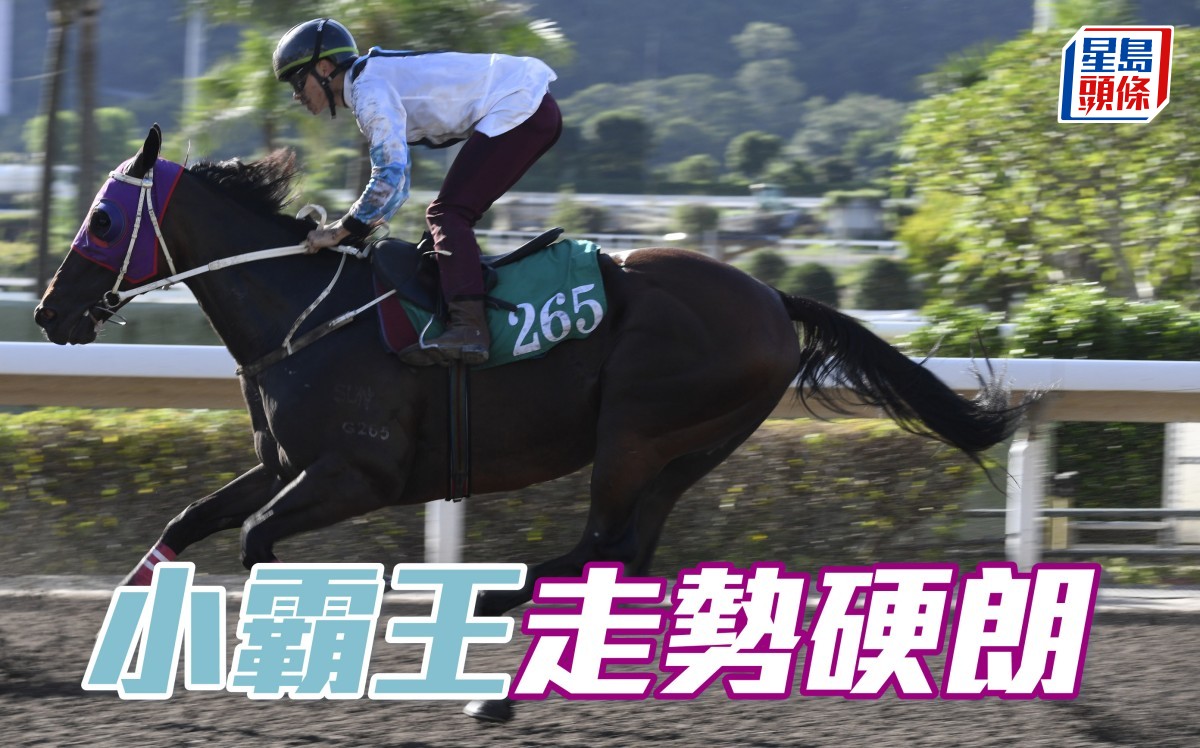 晨光追擊│ 「小霸王」走勢硬朗