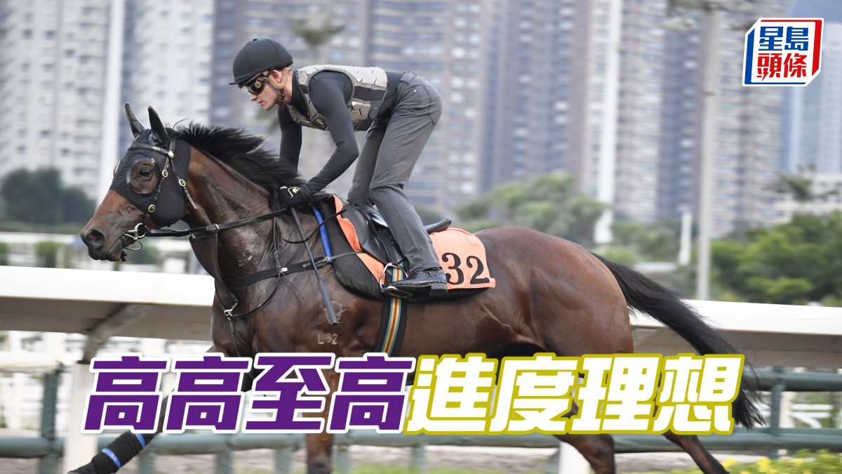 內圈捕影│「高高至高」進度理想