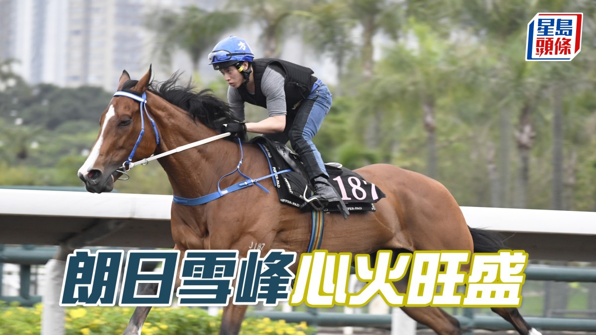 內圈捕影│「朗日雪峰」心火旺盛
