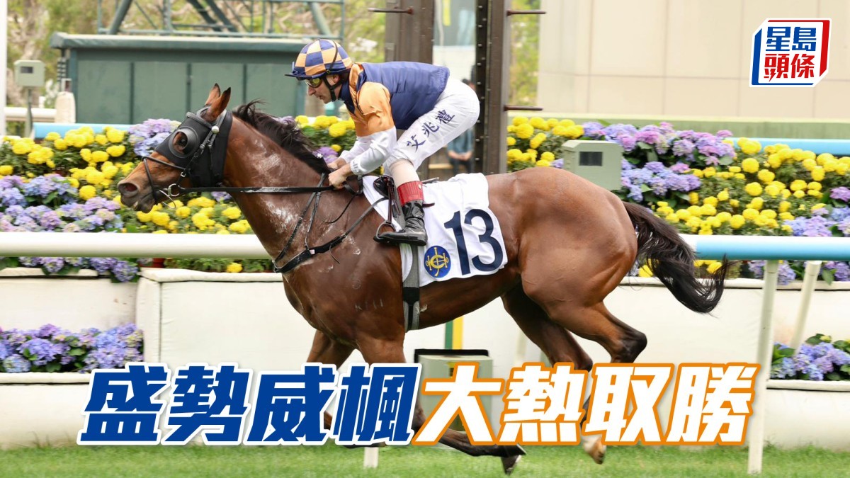 馬場密探048｜「盛勢威楓」大熱取勝